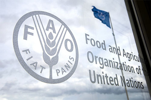 La FAO entregará 67,3 millones de dólares a Nicaragua entre 2022-2026