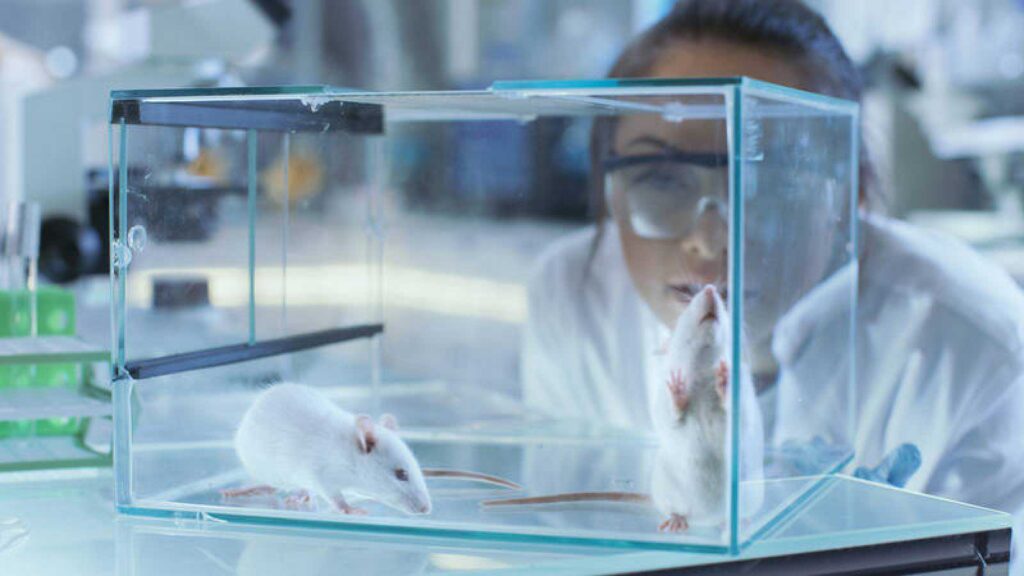 Medicamento contra el VIH podría combatir la pérdida de memoria, según estudio