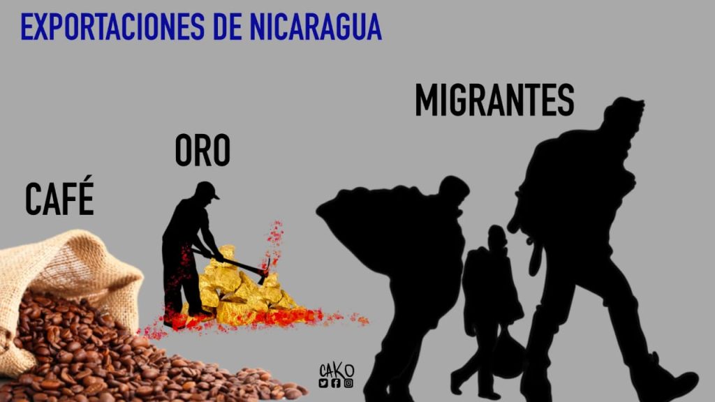 La Caricatura: Exportaciones y explotaciones