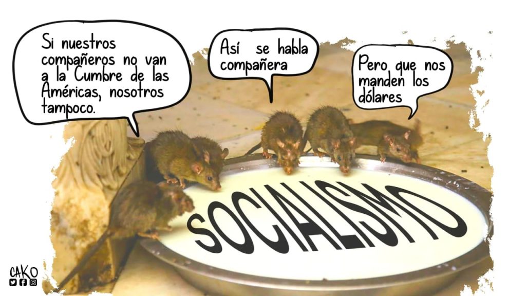 La Caricatura: Solidaridad socialista
