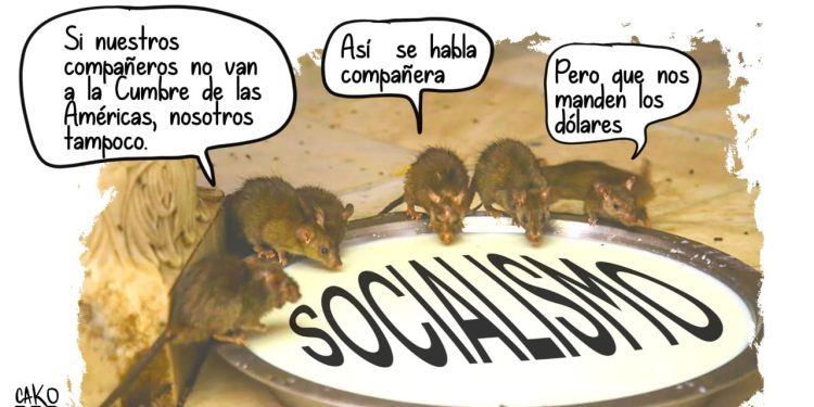 La Caricatura: Solidaridad socialista