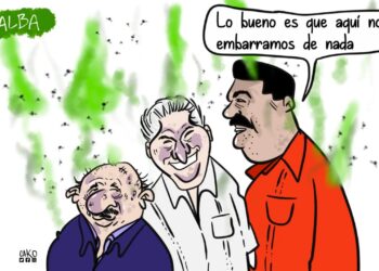La Caricatura: El ALBA y las propias embarradas