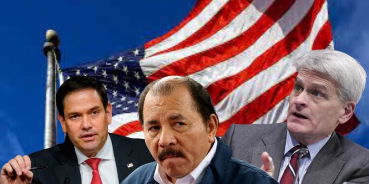 Senadores Bill Cassidy y Marco Rubio piden a Biden «ahogar» económicamente a Ortega
