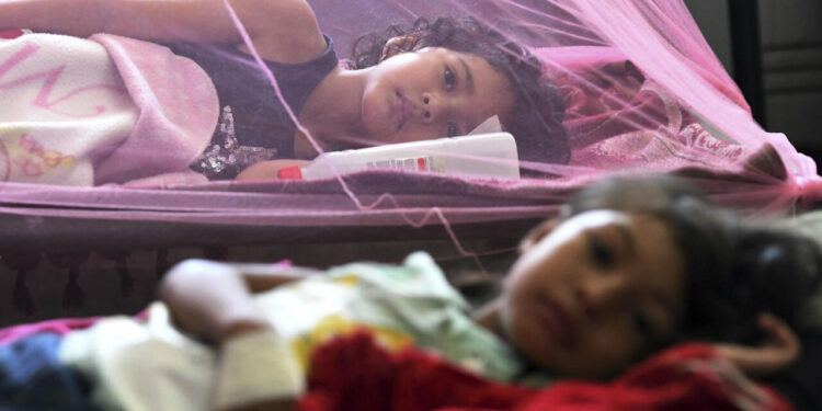 Casos de Dengue aumentan en Honduras y podría convertirse en epidemia