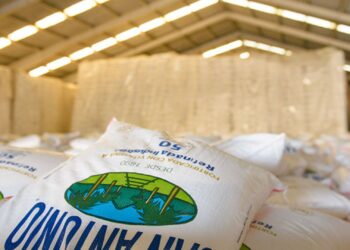 EE. UU. deja fuera a Nicaragua de la cuota anual de importación de azúcar 2023