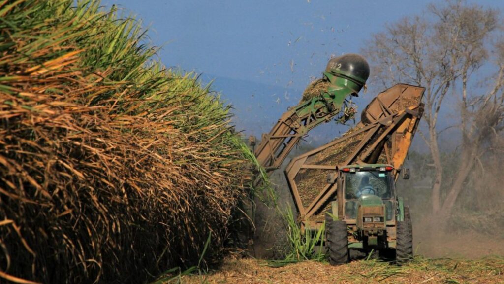 The US leaves Nicaragua out of the annual sugar import quota for 2023