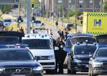 Policía confirma varios muertos en tiroteo en centro comercial en Copenhague. Foto: EFE / Artículo 66