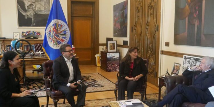 OEA asegura «colaboración» a expertos independientes de la ONU que investigan violaciones de derechos humanos en Nicaragua. Foto: Artículo 66 / Twitter Luis Almagro