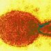 Aparece nuevo virus en China, conoce aquí lo que se sabe del Henipavirus