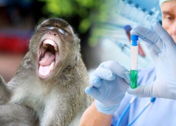Honduras registra el tercer caso de contagio con la viruela del mono