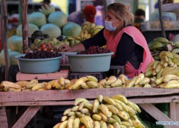 Honduras continúa sumido en la pobreza ante altos índices del trabajo informal