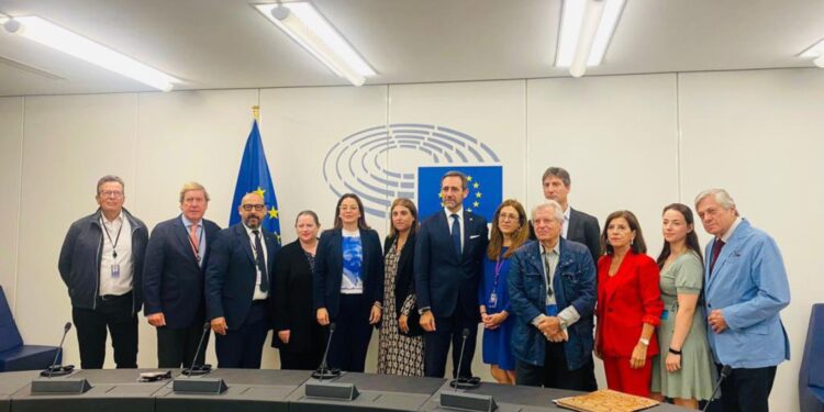 Bertha Valle se reúne con eurodiputados en el Parlamento Europeo, previo al debate por la persecución política de Ortega. Foto: Artículo 66 / Twitter