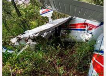Dos muertos al caer avioneta en un bosque de Florida, EEUU