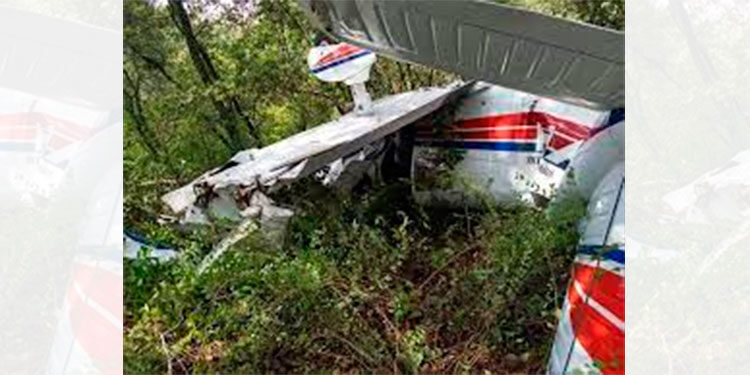 Dos muertos al caer avioneta en un bosque de Florida, EEUU