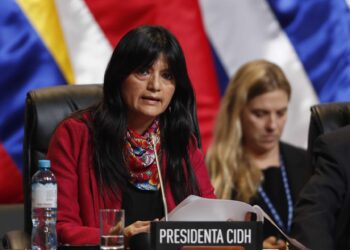 La presidenta de la Comisión Interamericana de Derechos Humanos (CIDH), Julissa Mantilla.  EFE/ Paolo Aguilar