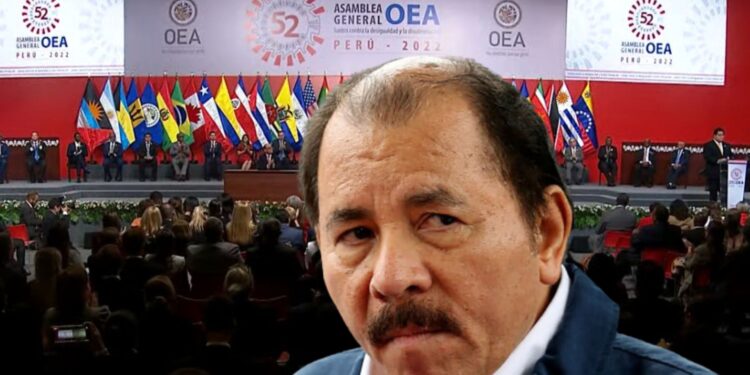«Nueva resolución de la OEA no se materializará por la voluntad de Ortega», afirma experto