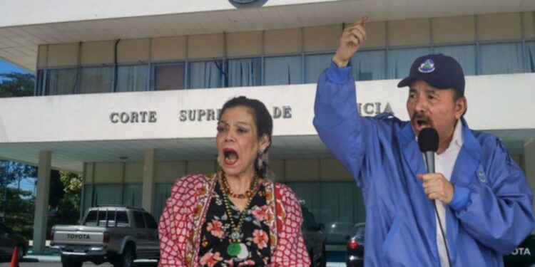 Arremetida contra funcionarios públicos es una «paranoia» de Ortega, señala abogado