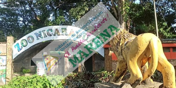Régimen de Ortega administrará Zoológico Nacional. El sitio pasará a manos del Marena