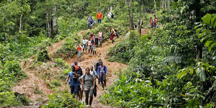 Migrantes venezolanos suben una montaña con la intención de llegar a Panamá,. Foto: EFE / Artículo 66