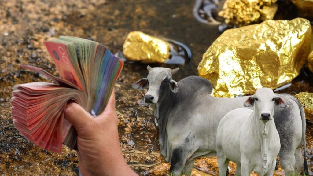 Nicaragua refleja una caída en el sector minero y la producción de carne