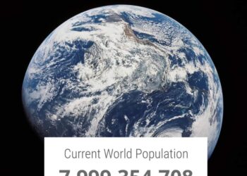 El mundo alcanzará los 8.000 millones de habitantes el martes, según la ONU