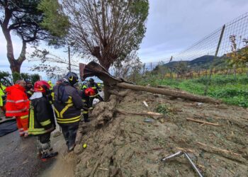 Desastre de Ischia con al menos 7 muertos recuerda la fragilidad de Italia. Foto: EFE / Artículo 66