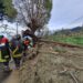 Desastre de Ischia con al menos 7 muertos recuerda la fragilidad de Italia. Foto: EFE / Artículo 66