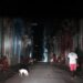 Fotografía de archivo, tomada el pasado 18 de agosto, en la que se registró una calle iluminada con las luces de un automóvil, durante un de los diarios apagones de fluido eléctrico, en La Habana. Foto: EFE / Artículo 66