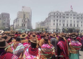 La Defensoría del Pueblo destaca que la marcha en Lima no haya tenido muertos