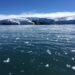 - El hielo marino antártico probablemente se redujo a un mínimo histórico la semana pasada, dijeron investigadores estadounidenses el 27 de febrero de 2023, su menor extensión en los 45 años de registros satelitales. (Foto de Mathilde BELLENGER / AFP) / SIN USO DESPUÉS DEL 28 DE MARZO DE 2023 20:12:31 GMT