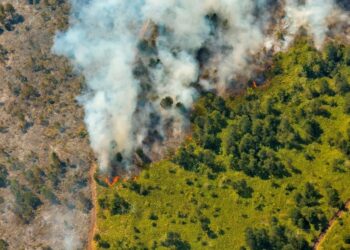 Un incendio incontrolable devora unas 2.000 hectáreas de bosques en Cuba