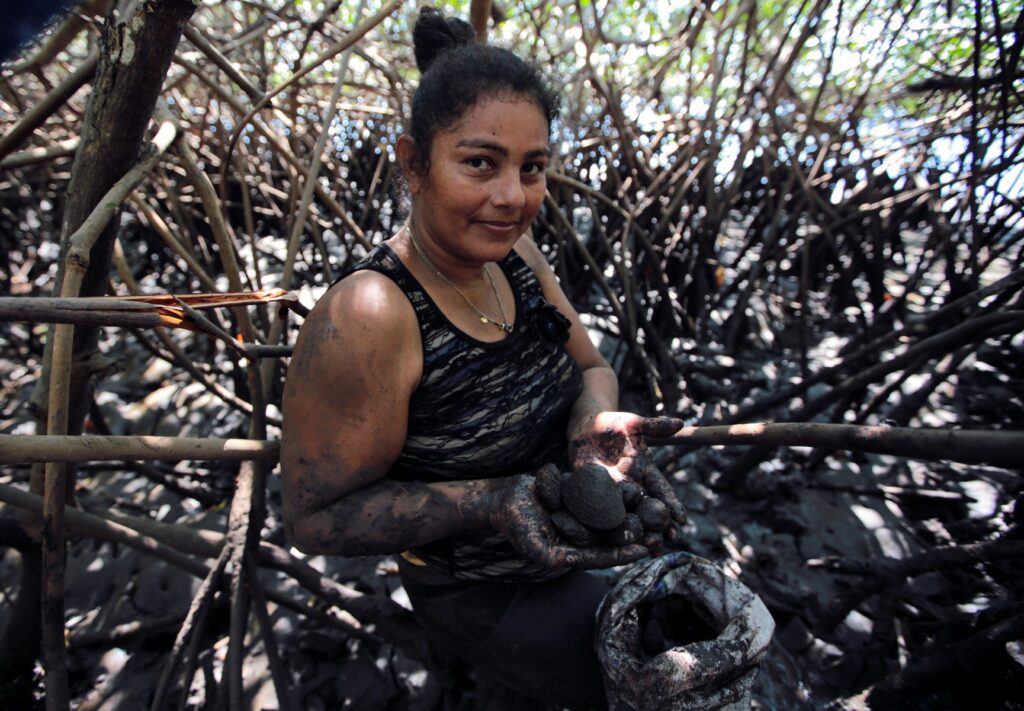 Entre el fango del manglar, mujeres en Nicaragua extraen moluscos para vivir