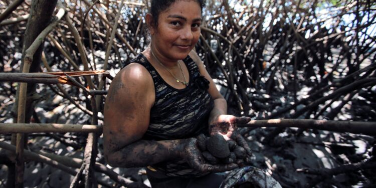 Elena Martínez, residente del poblado de Aserradores, Costa del Pacífico de Nicaragua, muestra conchas negras recolectadas en un manglar, las cuales luego venderá a turistas y restaurantes de la zona el 6 de febrero de 2023.