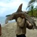 Una mujer observa a un pescador que lleva un tiburón martillo en la playa de Manzanillo, en el Caribe Sur, a unos 240 kilómetros al este de San José, el 3 de abril de 2011. El tiburón martillo es una especie protegida, pero muchos pescadores cazan por el valor de sus aletas. FOTO/ Yuri CORTEZ (Foto de YURI CORTEZ / AFP)