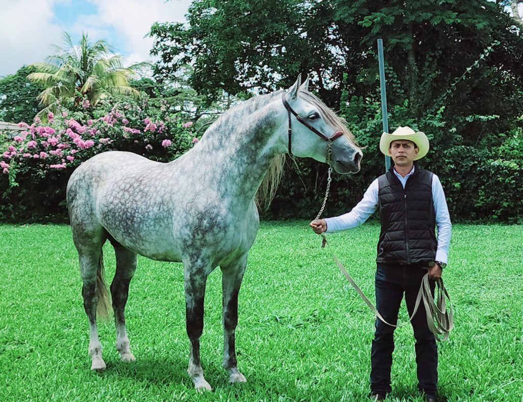 El sociólogo que cría, adiestra y monta caballos en Camoapa 