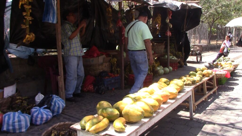 Aumenta demanda de frutas de verano en mercados de Somoto y Estelí 