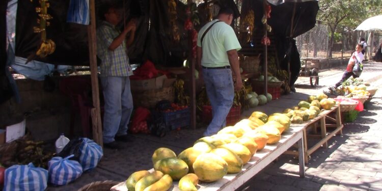 Especialistas recomiendan el consumo de frutas para mantener hidratado el cuerpo, en la época más cálida del año. Foto: VEL