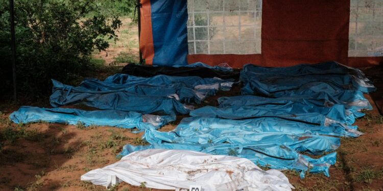 Los cuerpos exhumados en bolsas para cadáveres se muestran en el suelo antes de un transporte a la morgue, en la fosa común en Shakahola, en las afueras de la ciudad costera de Malindi, el 25 de abril de 2023. - Los investigadores de Kenia desenterraron otros 16 cuerpos el martes en un bosque donde se creía que una secta practicaba la hambruna masiva, elevando el número de víctimas hasta ahora a 89, incluidos niños. Se teme que se puedan encontrar más cadáveres en el bosque de Shakahola, donde el líder de la secta, Paul Mackenzie Nthenge, supuestamente había estado diciendo a sus seguidores que el hambre era el único camino hacia Dios. (Foto de Yasuyoshi CHIBA / AFP)