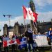 Nicas en Canadá realizarán plantón conmemorando la rebelión cívica del 19 de abril. Foto: Artículo 66 / Cortesía