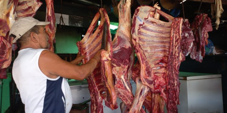 Se estima que la libra de carne, por estos días, los consumidores la puedan adquirir a más de 140 córdobas. Foto: VEL