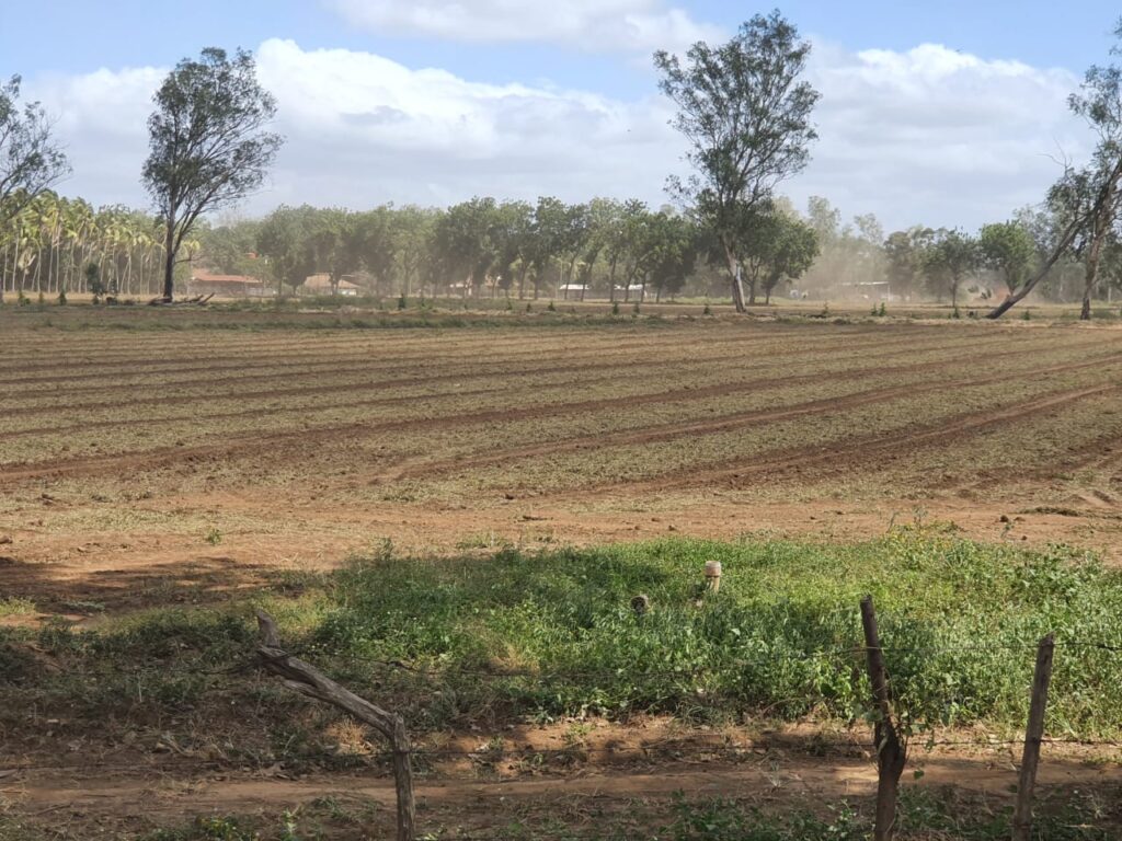 Fenómeno «Súper Niño» provocará severas afectaciones en la agricultura y podría extenderse hasta el 2027