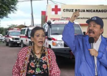 «Creación de la Cruz Blanca no garantiza profesionalismo y neutralidad», afirma Maradiaga