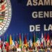 Dos ONG en exilio se incorporan a la OEA, para seguir denunciando a la dictadura.