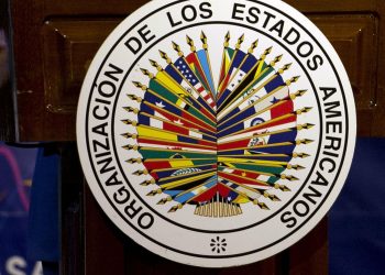 Grupo de Trabajo de la OEA reseña el respaldo a Nicaragua desde el 2018