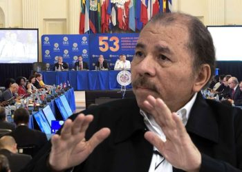 Arturo McFields: «La OEA no se va a olvidar de Ortega, seguirá en el radar»