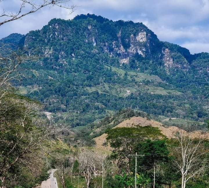They denounce that paramilitaries "train" fans in the mountains of Jinotega