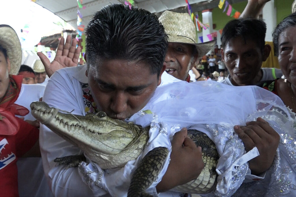 Alcalde mexicano contrae matrimonio con un caimán hembra en ritual ancestral