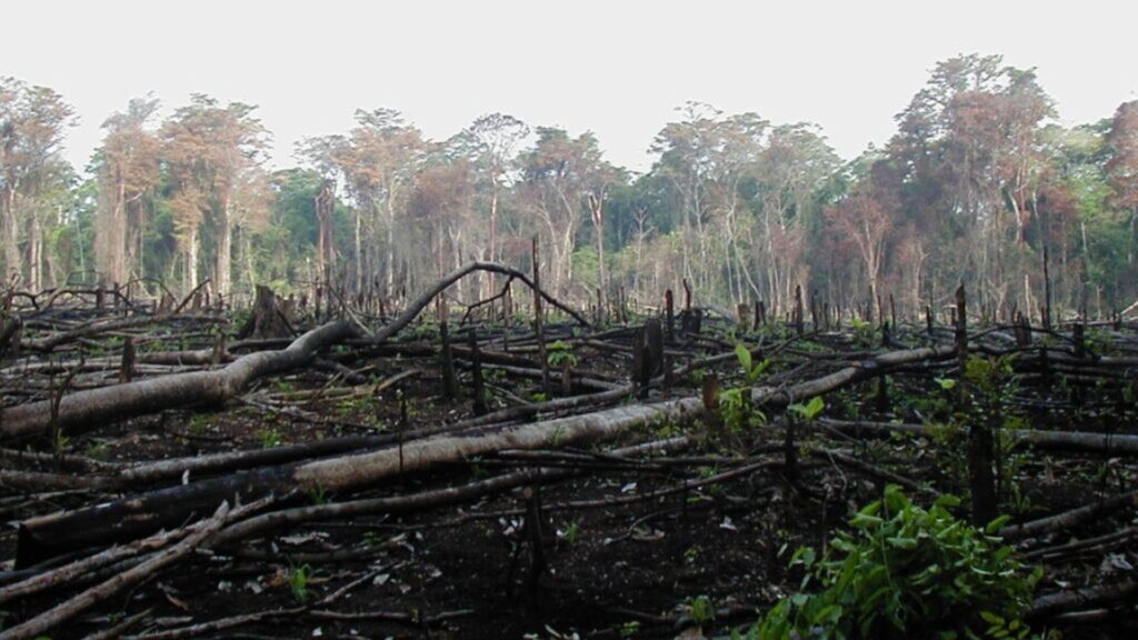 Opositores afirman que desembolso de Fondo Verde a Nicaragua, no beneficiará a comunidades indígenas 