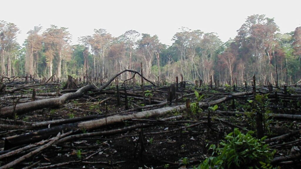Opositores afirman que desembolso de Fondo Verde a Nicaragua, no beneficiar&aacute; a comunidades ind&iacute;genas 