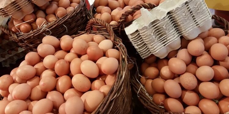 La cajilla de huevos se cotiza en 165 córdobas en el mercado Oriental de Managua. Foto: VEL.